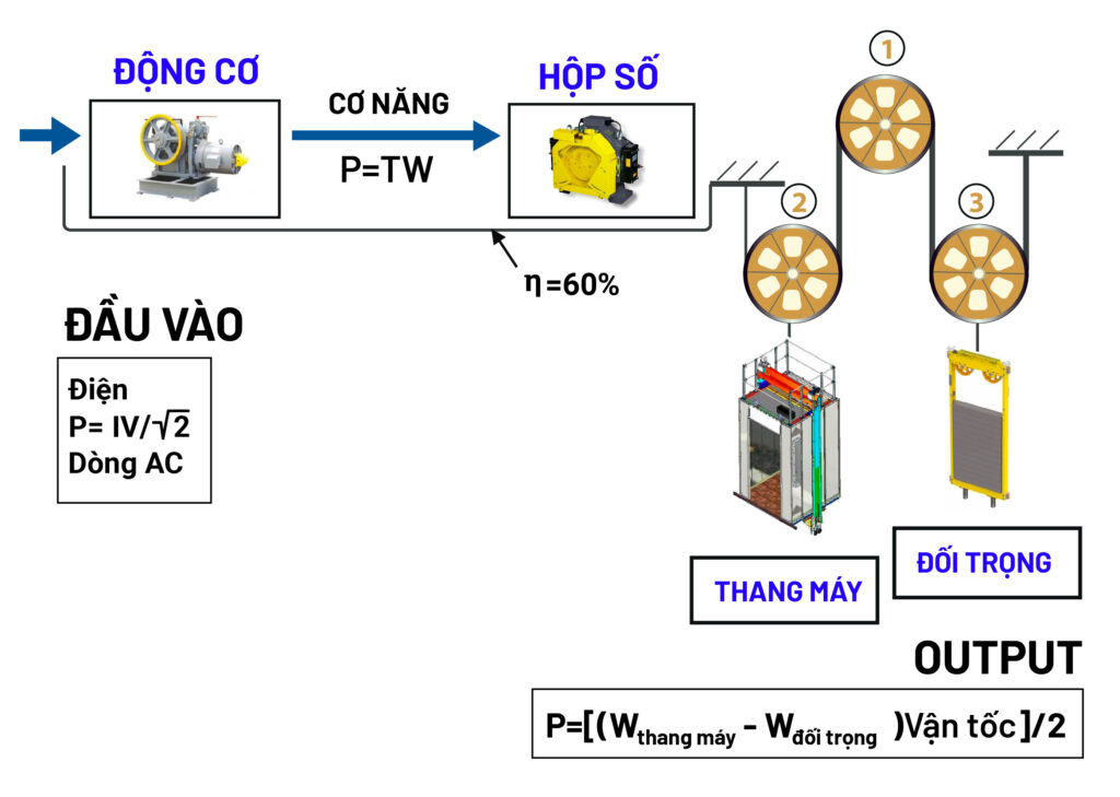 Tổng quan chơ chế